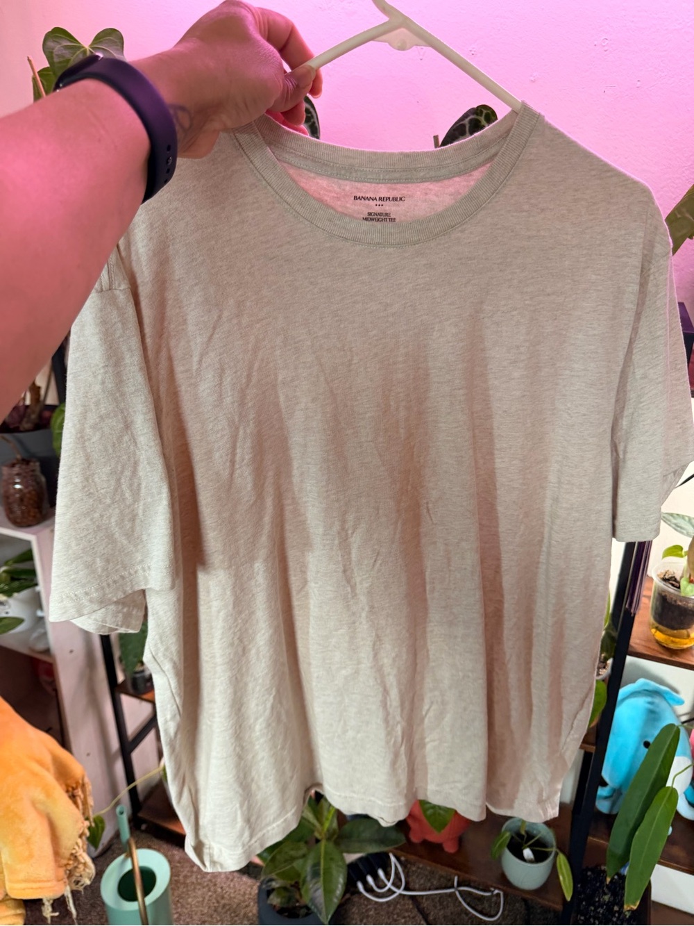 Banana Republic Sage Green Short Sleeve Crew Tee